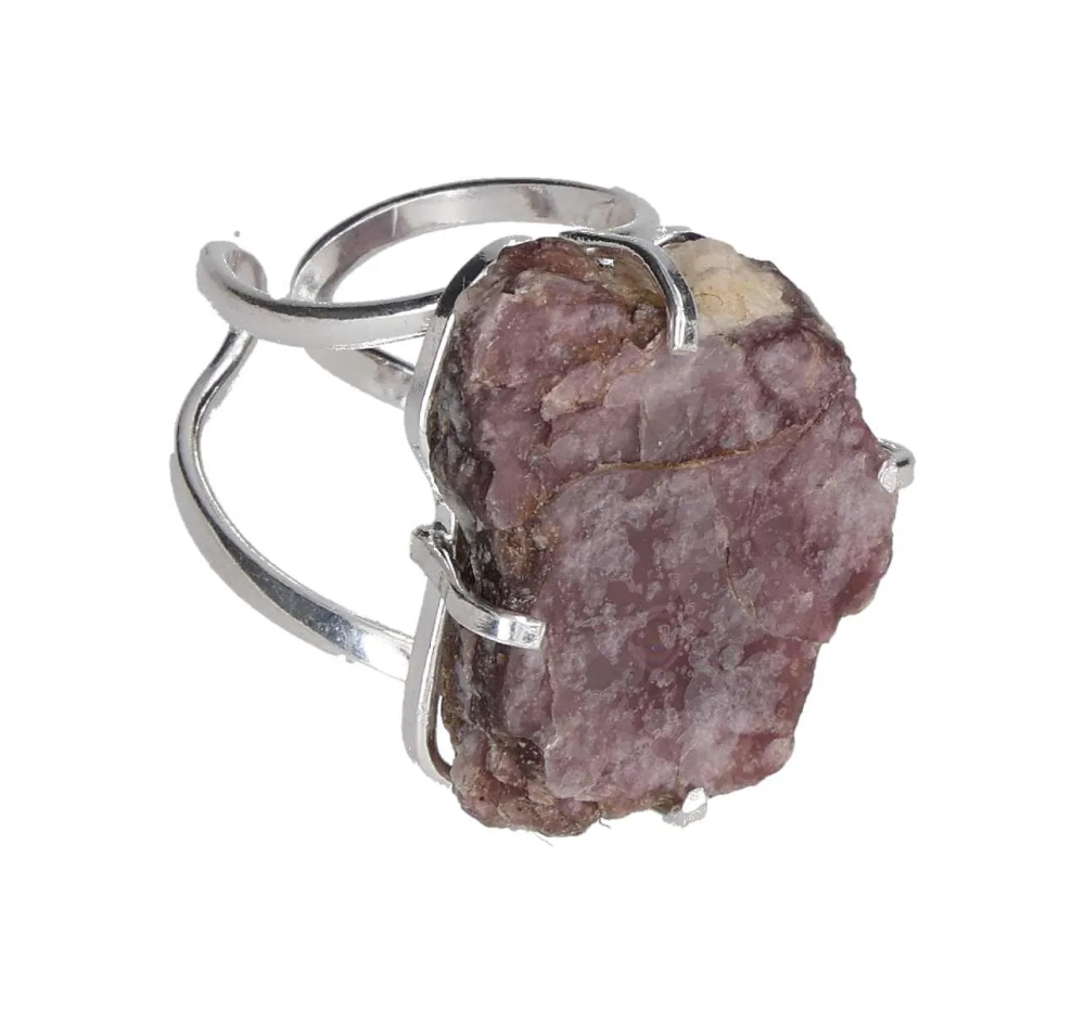 orbitvu|type:image2d