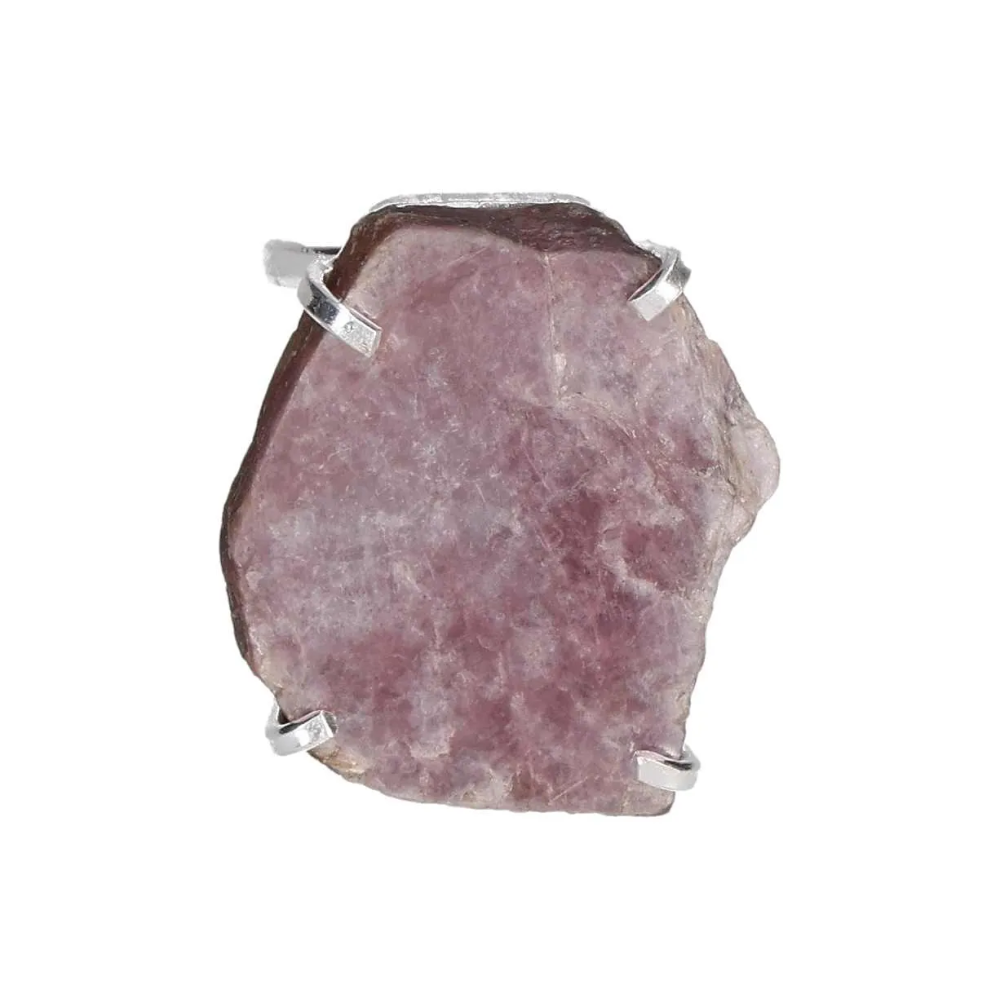 orbitvu|type:image2d