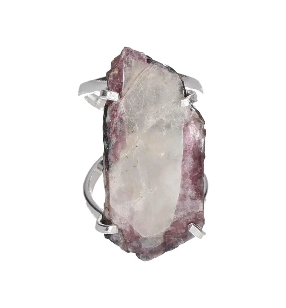 orbitvu|type:image2d