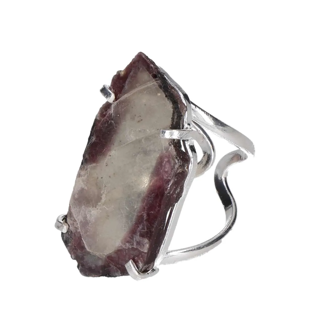 orbitvu|type:image2d