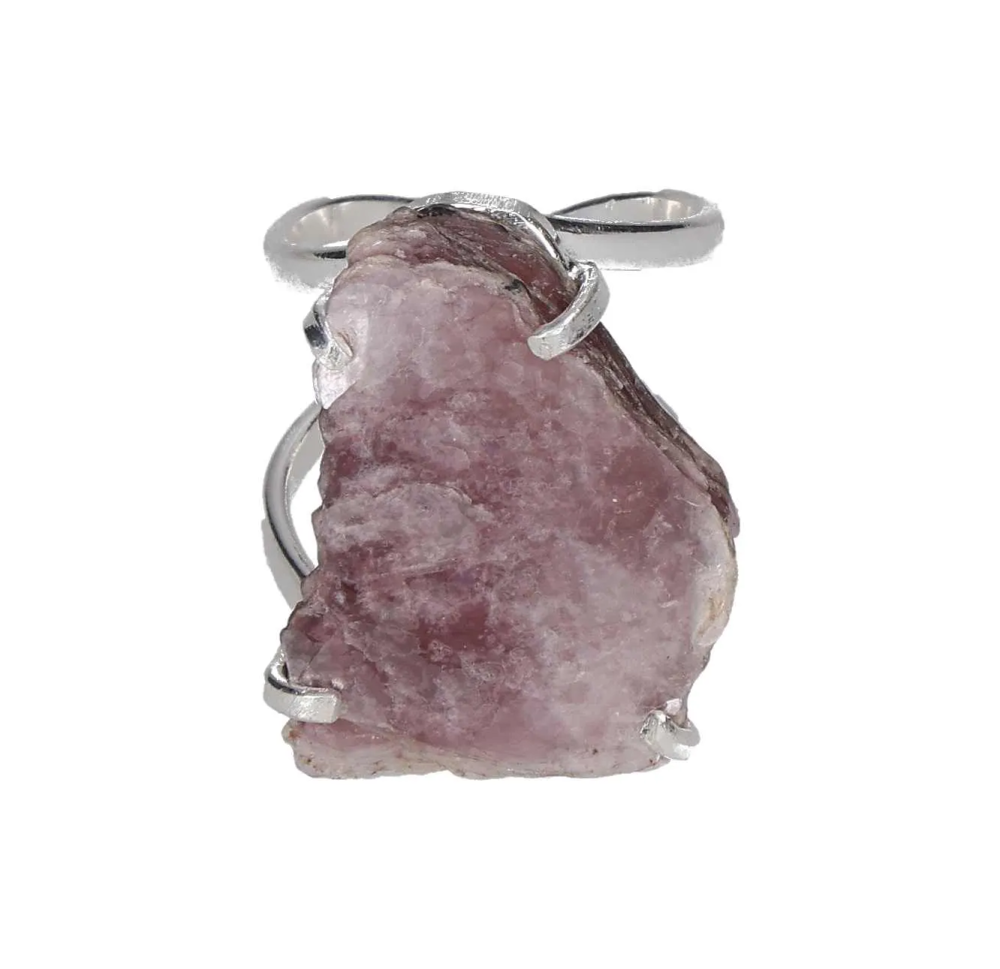 orbitvu|type:image2d