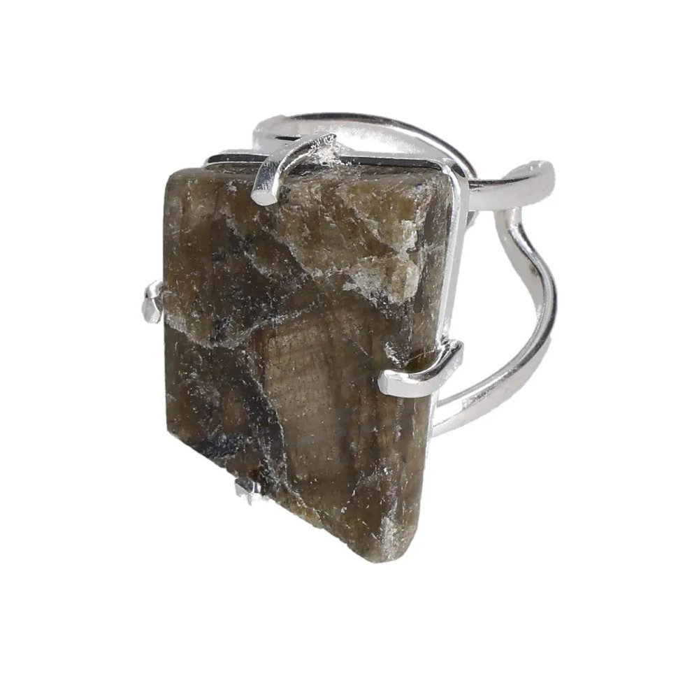 orbitvu|type:image2d