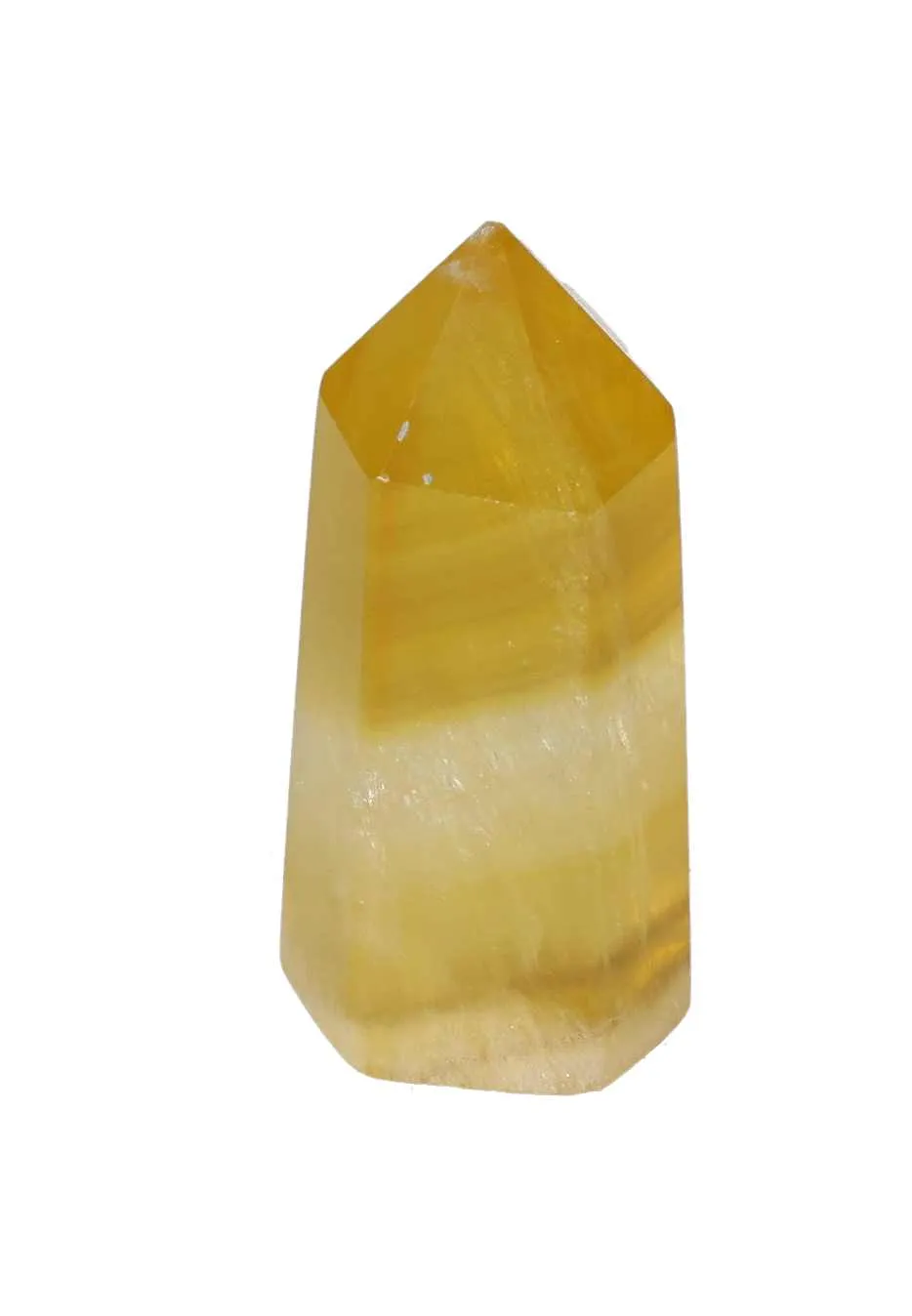 orbitvu|type:image2d