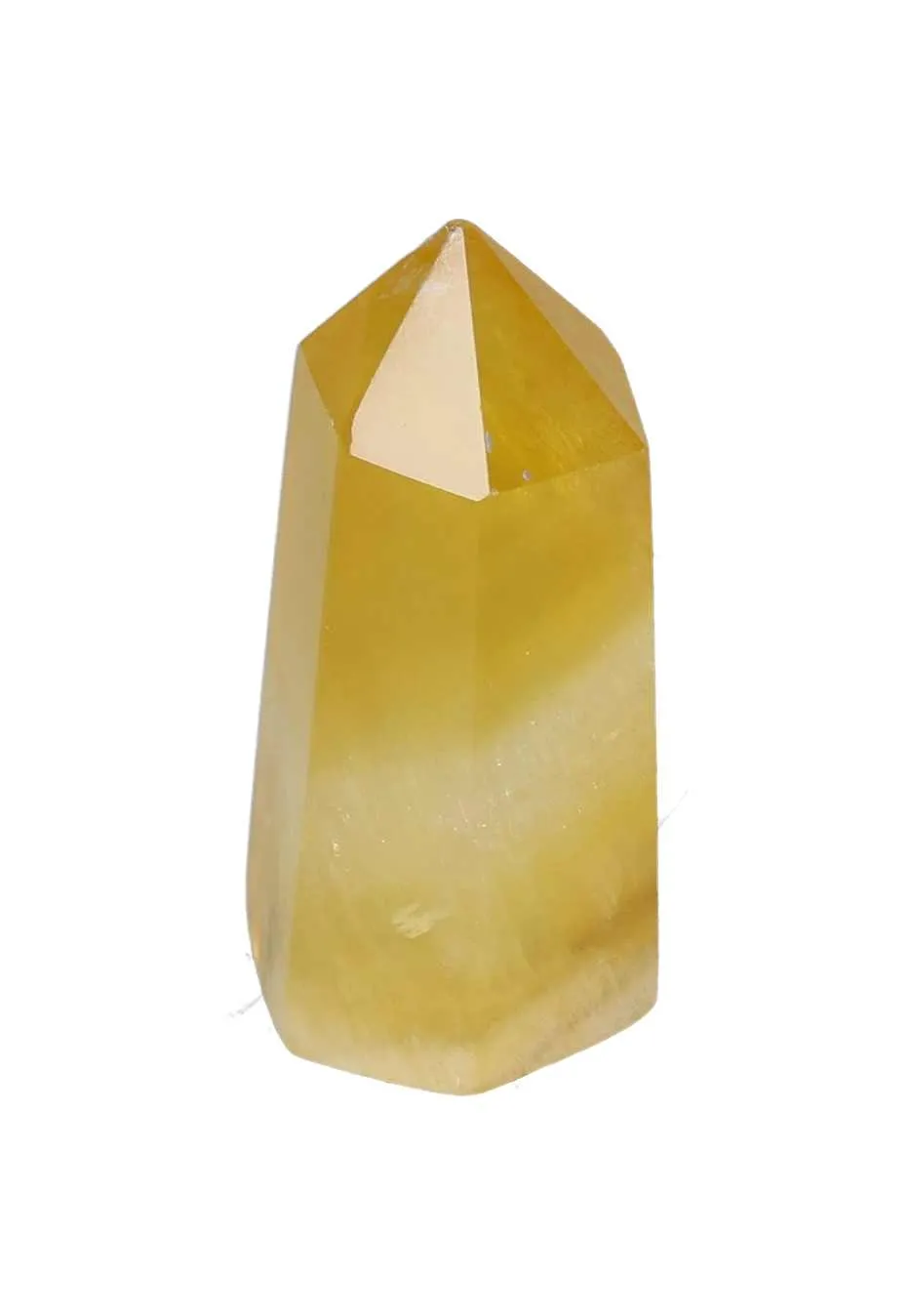 orbitvu|type:image2d