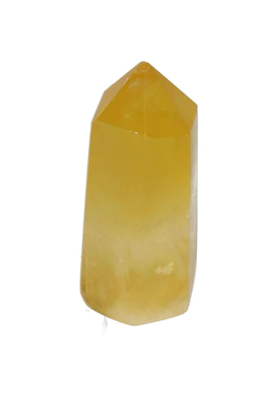 orbitvu|type:image2d