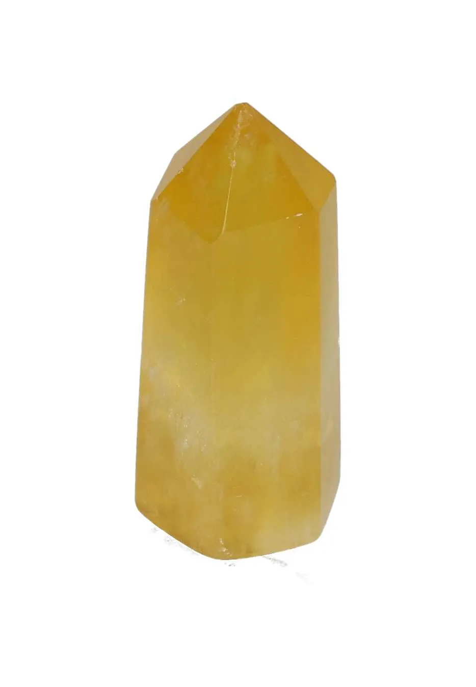 orbitvu|type:image2d