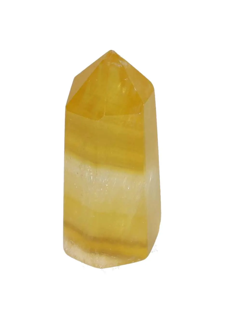 orbitvu|type:image2d