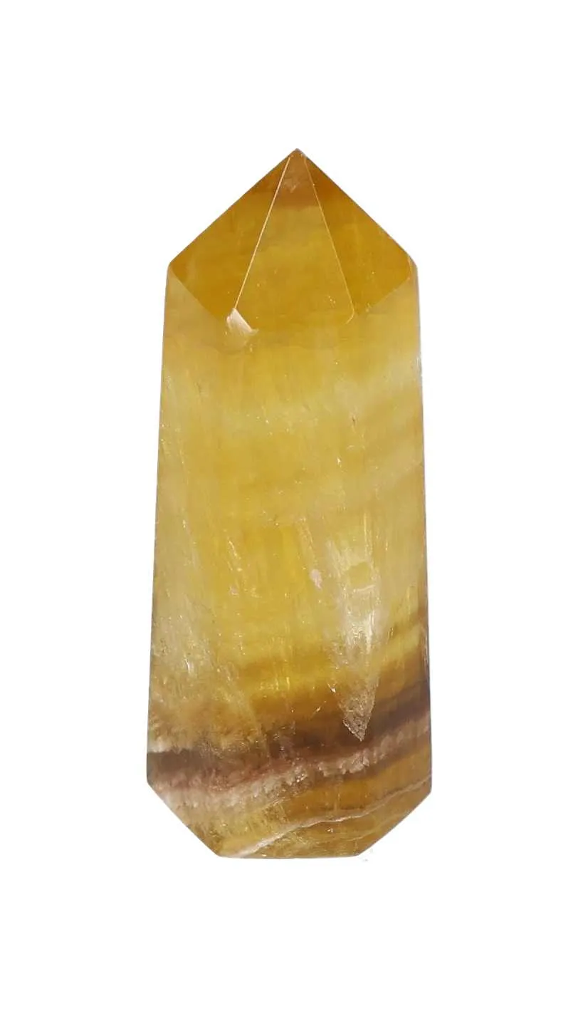 orbitvu|type:image2d