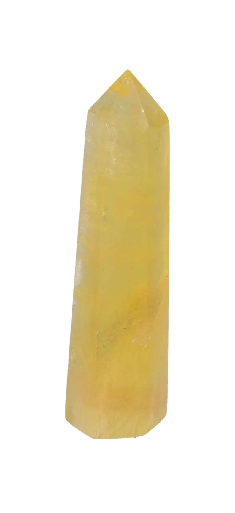 orbitvu|type:image2d