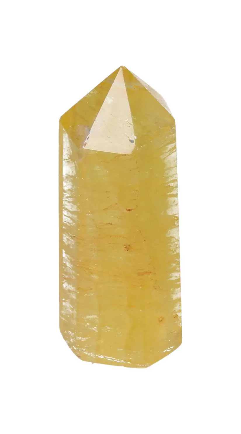 orbitvu|type:image2d