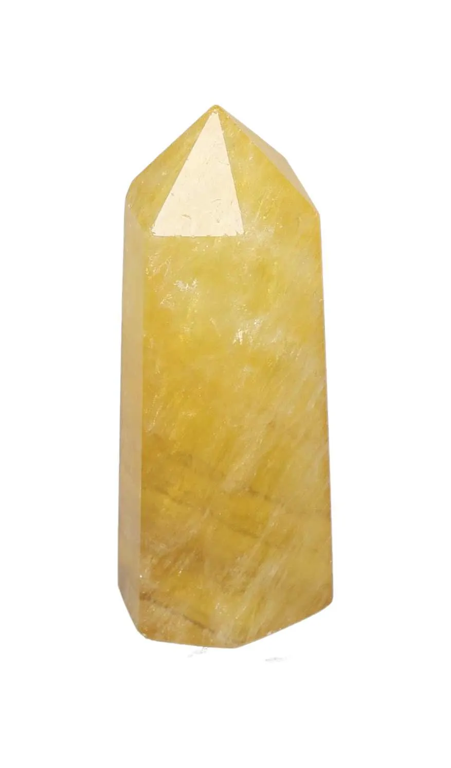 orbitvu|type:image2d