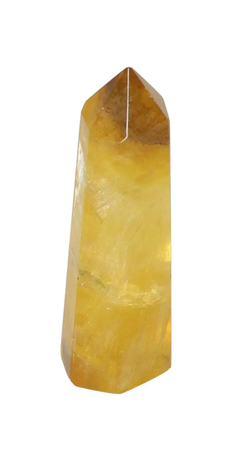 orbitvu|type:image2d