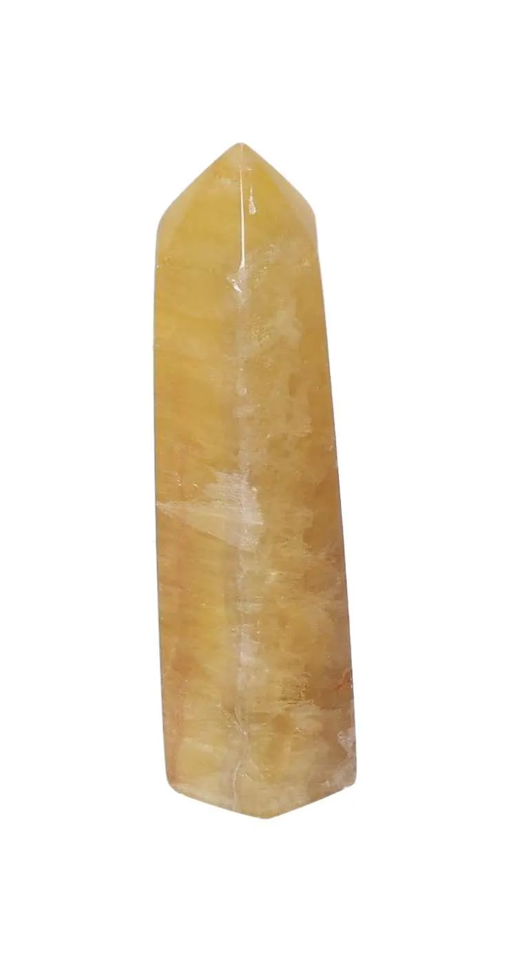 orbitvu|type:image2d