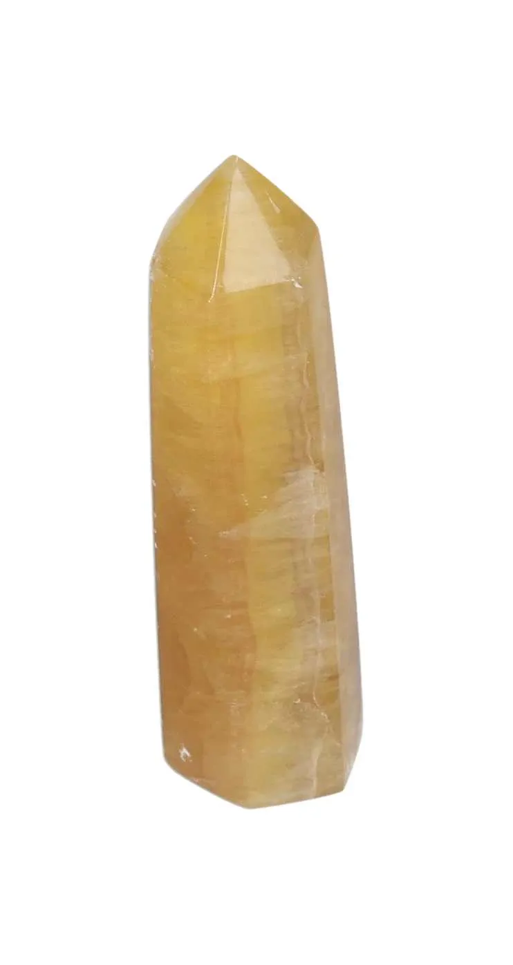 orbitvu|type:image2d