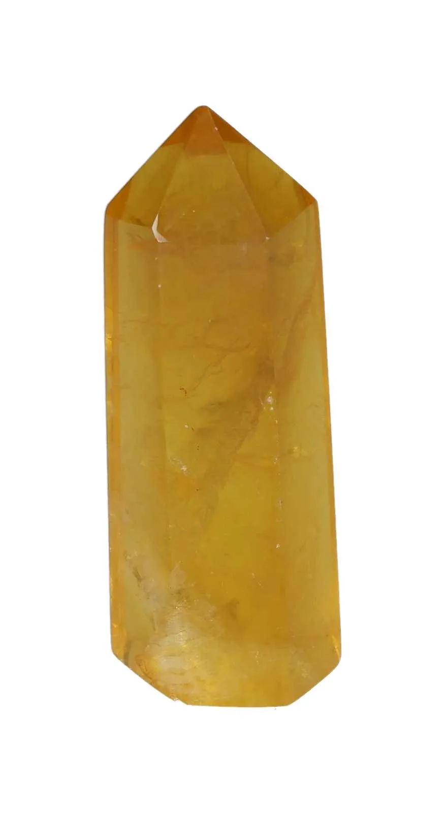 orbitvu|type:image2d