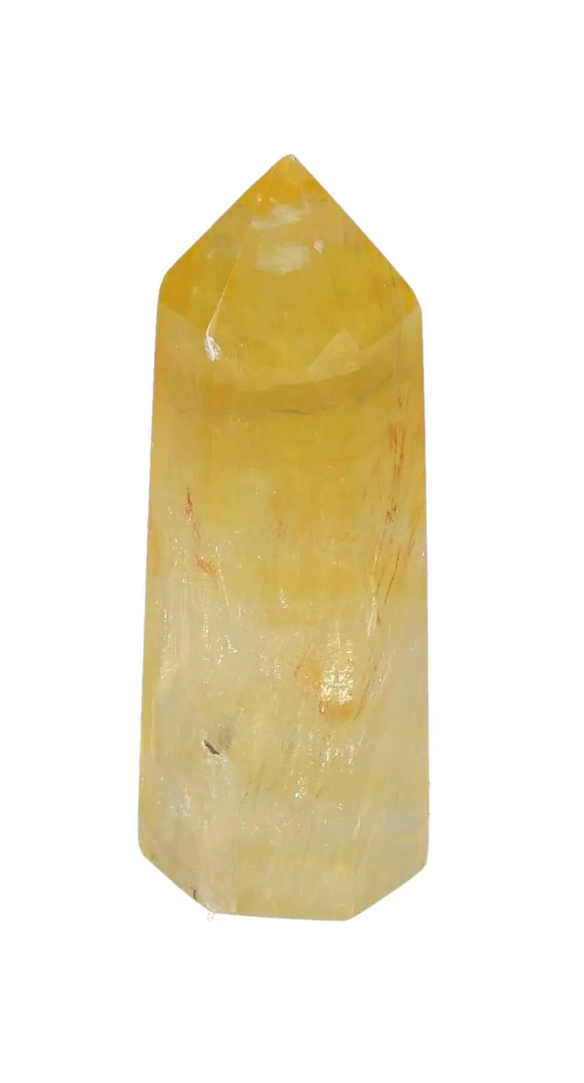 orbitvu|type:image2d