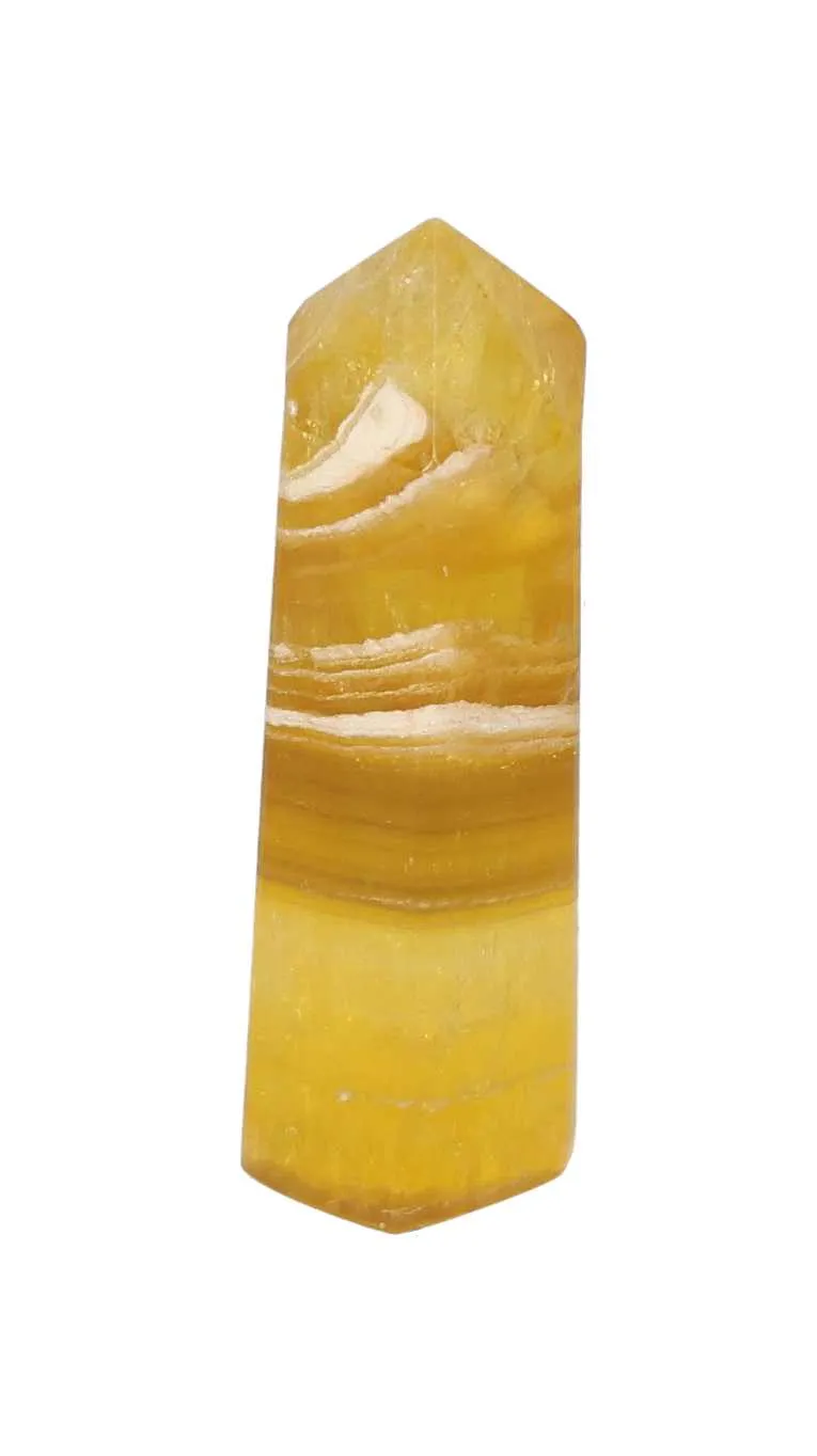 orbitvu|type:image2d