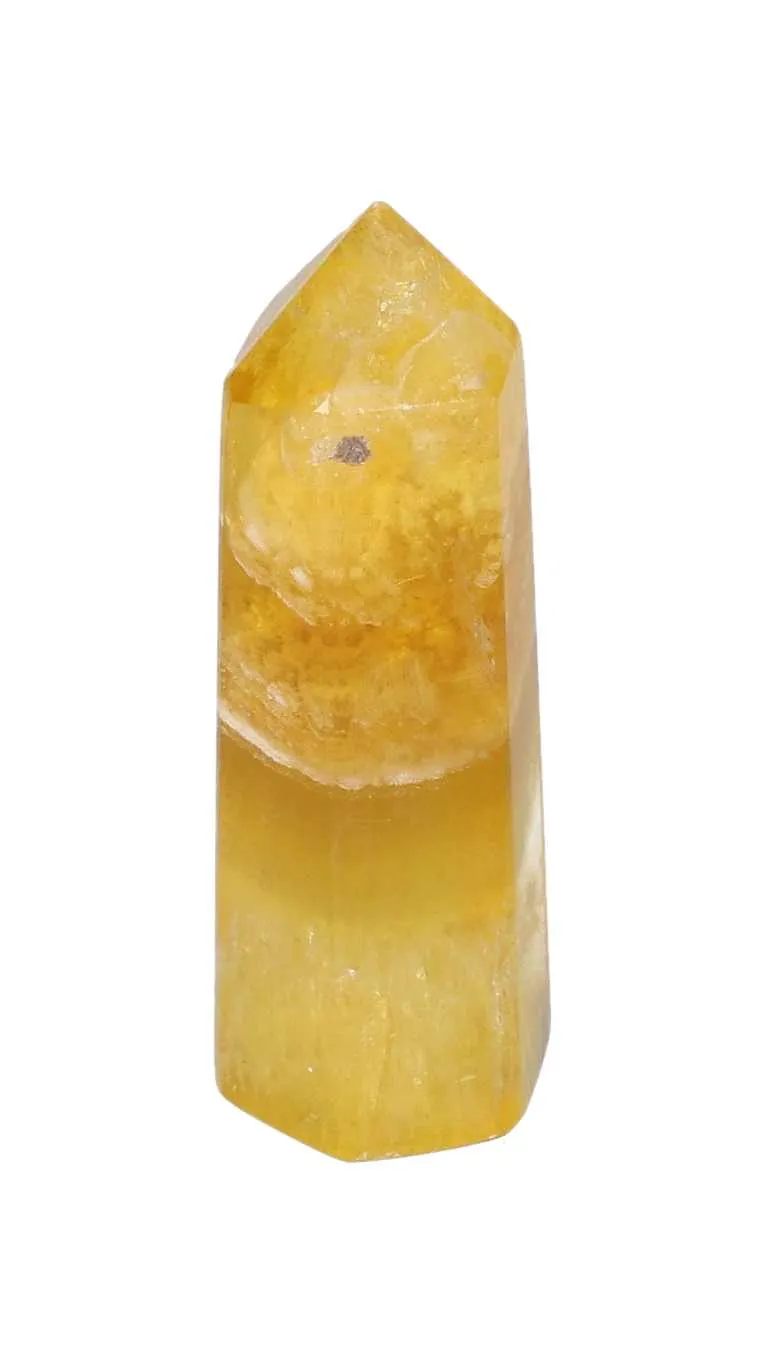 orbitvu|type:image2d