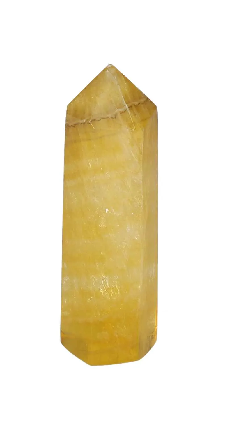 orbitvu|type:image2d