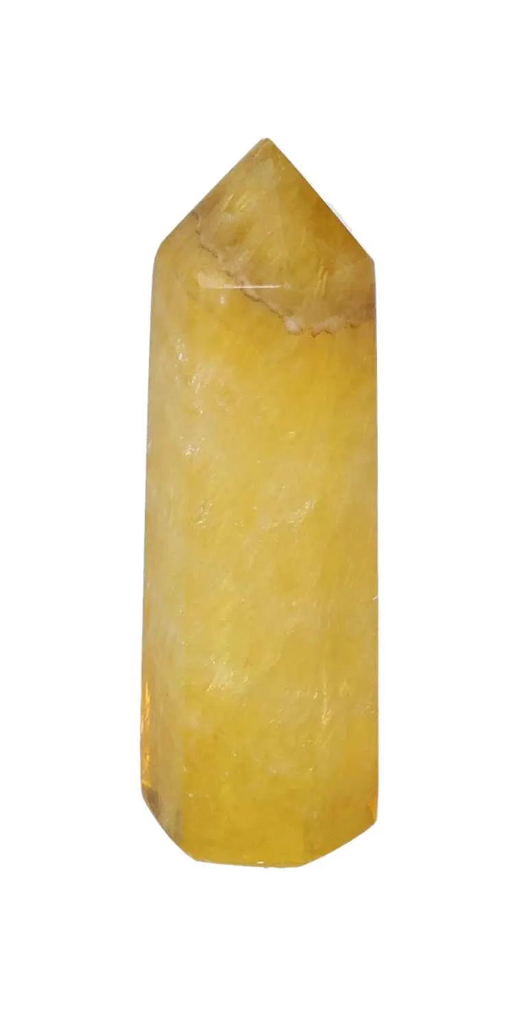 orbitvu|type:image2d