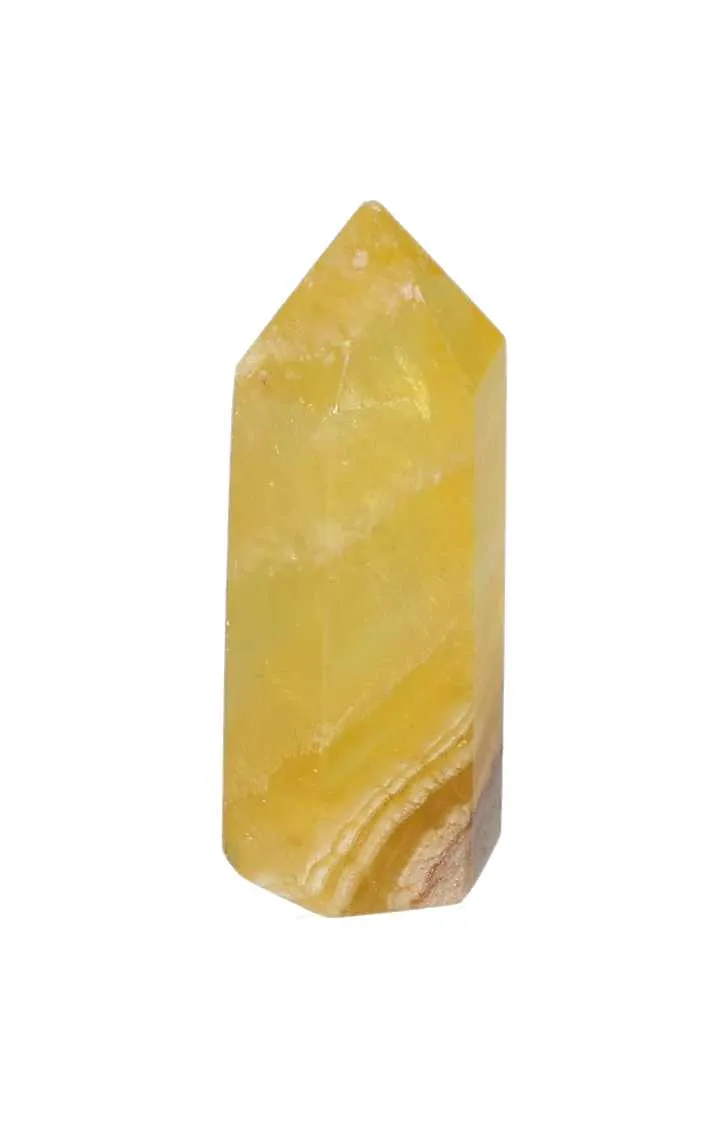 orbitvu|type:image2d