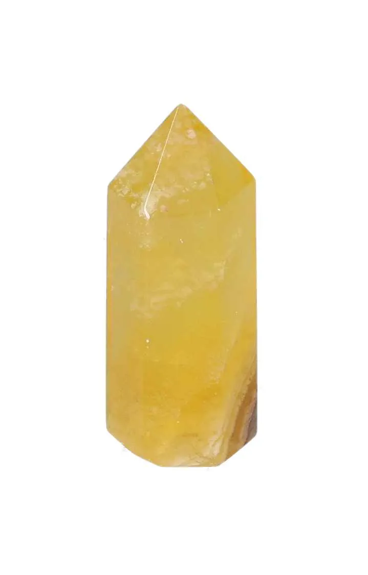 orbitvu|type:image2d