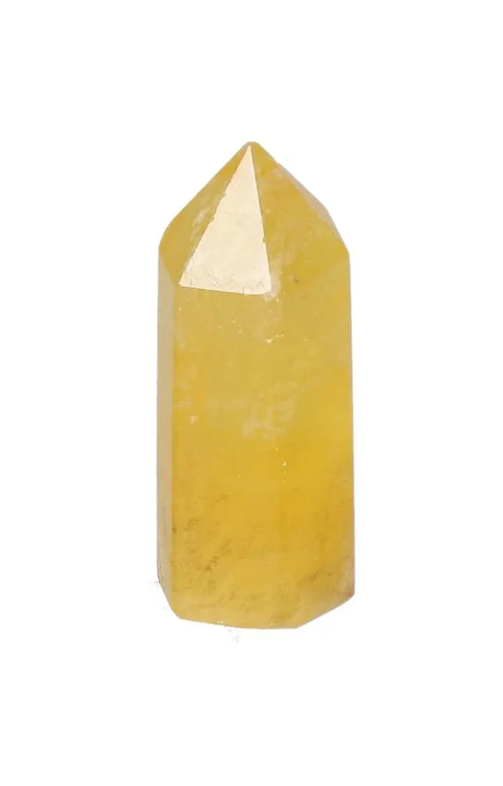 orbitvu|type:image2d