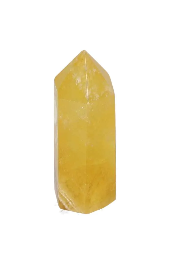 orbitvu|type:image2d