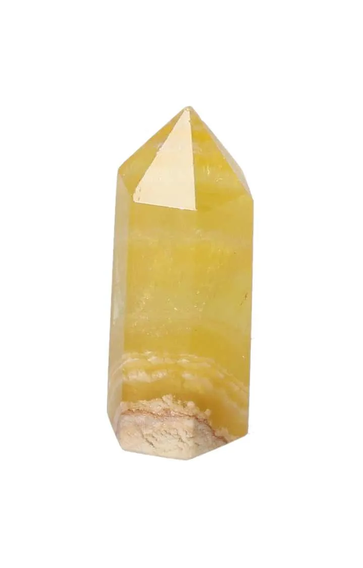 orbitvu|type:image2d