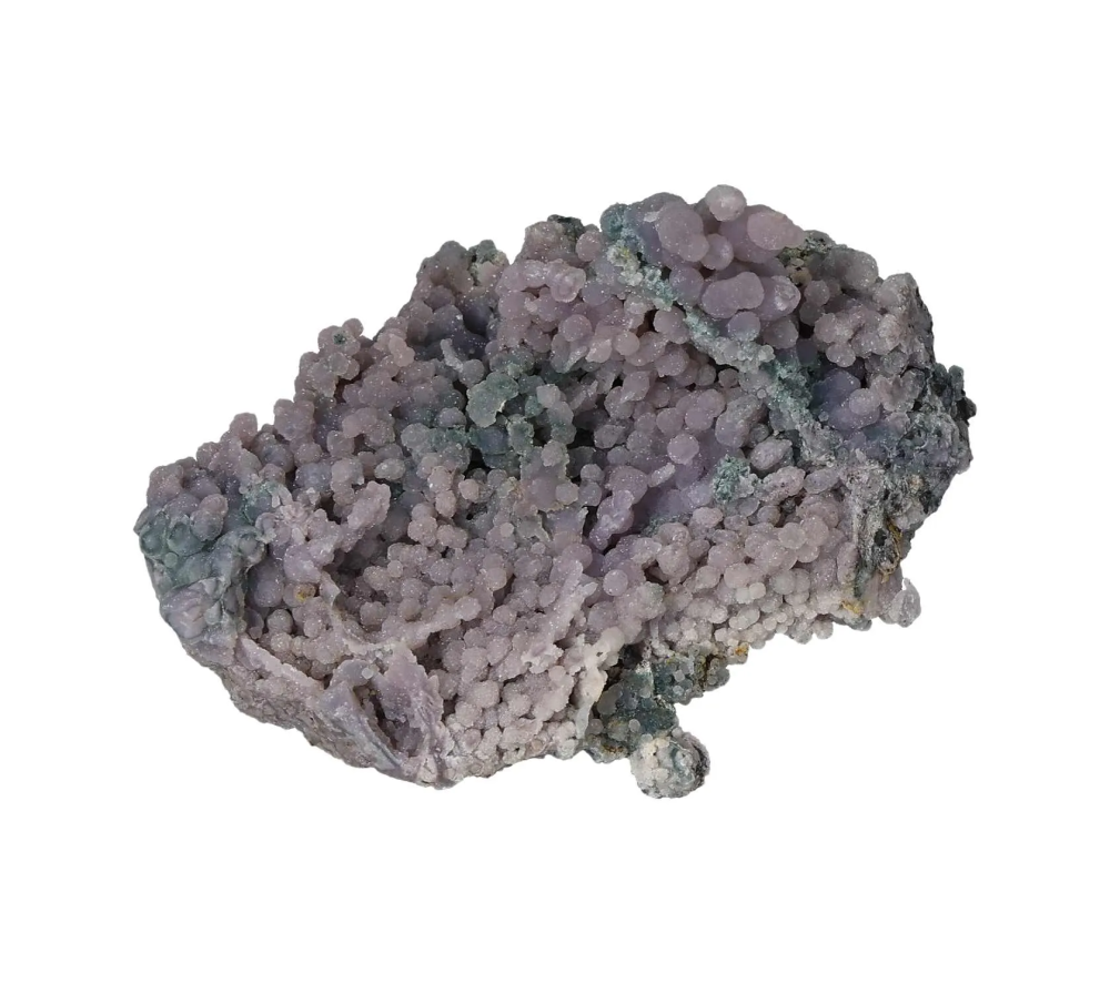 orbitvu|type:image2d