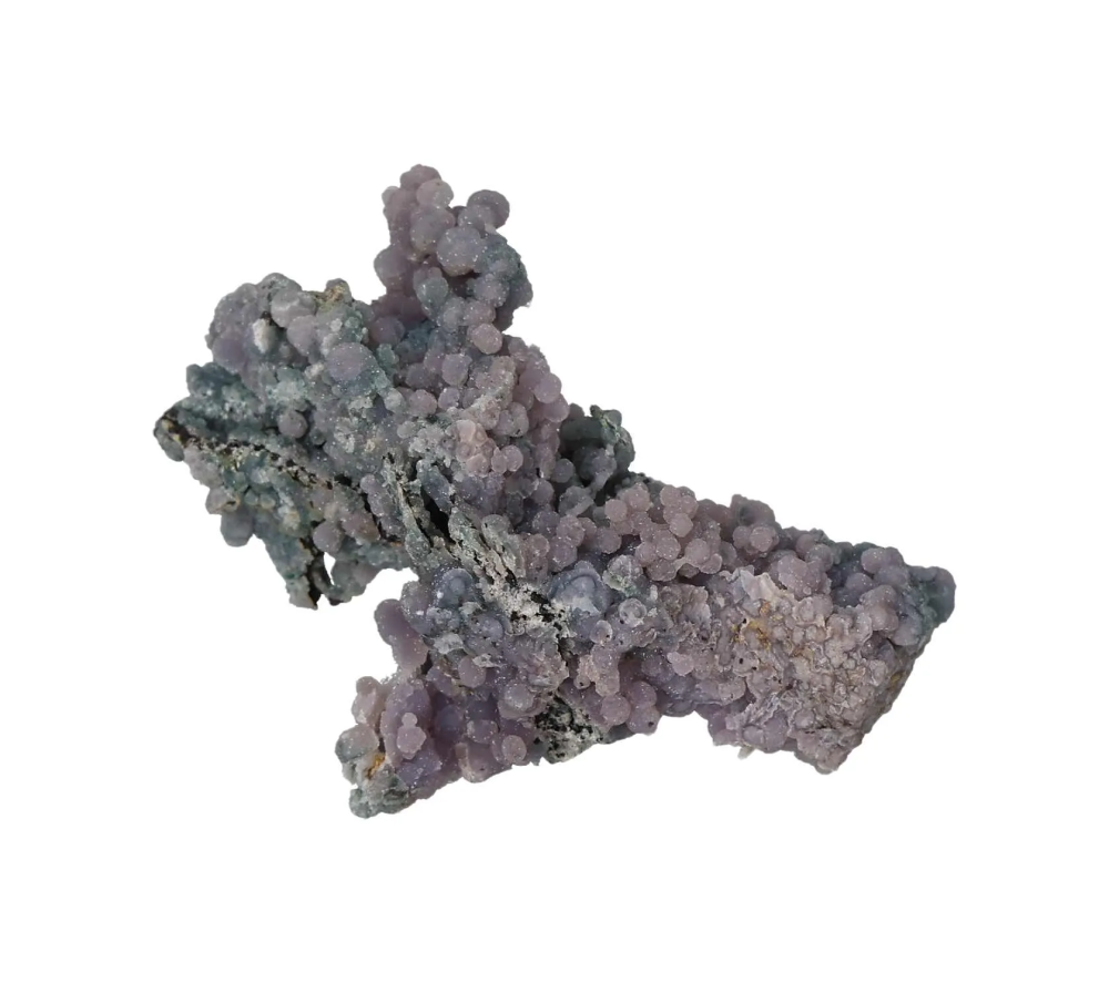 orbitvu|type:image2d