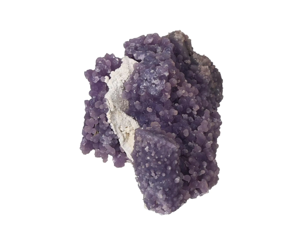 orbitvu|type:image2d