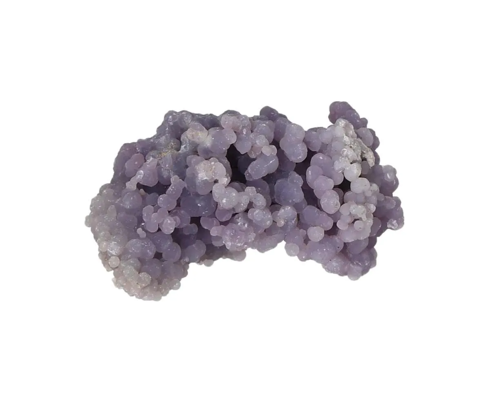 orbitvu|type:image2d