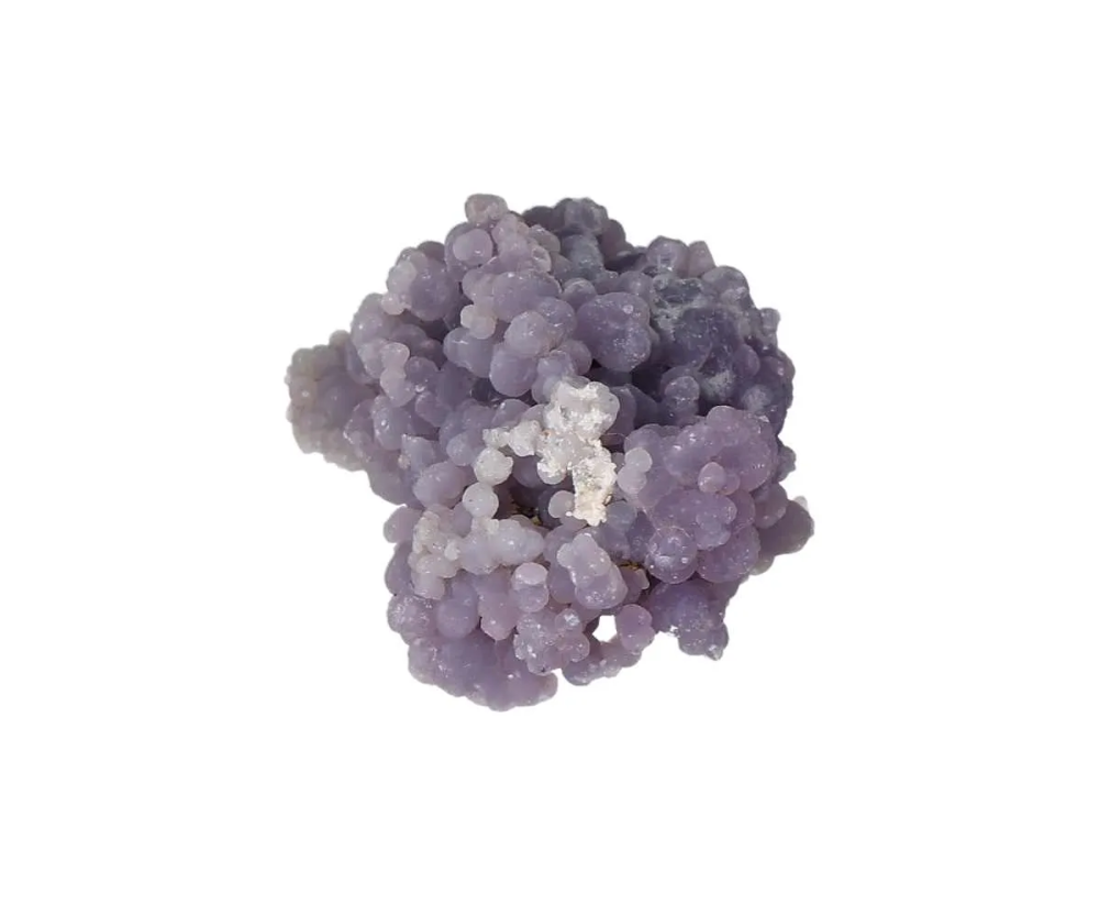 orbitvu|type:image2d