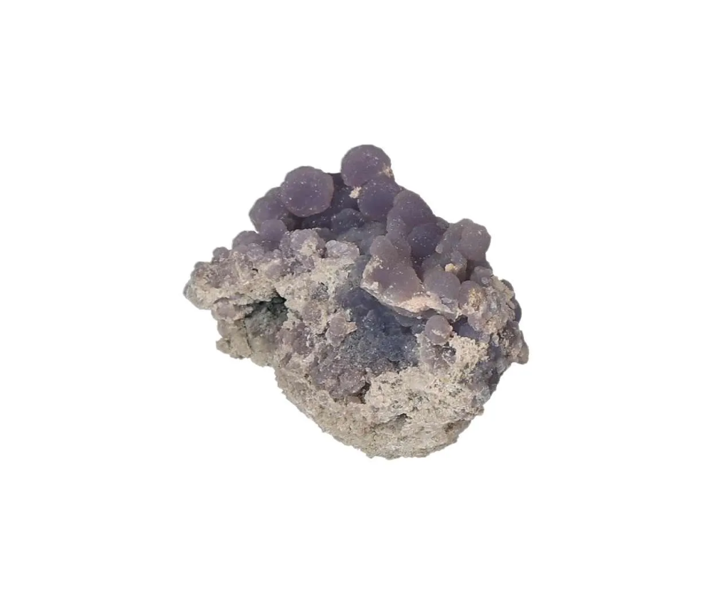 orbitvu|type:image2d