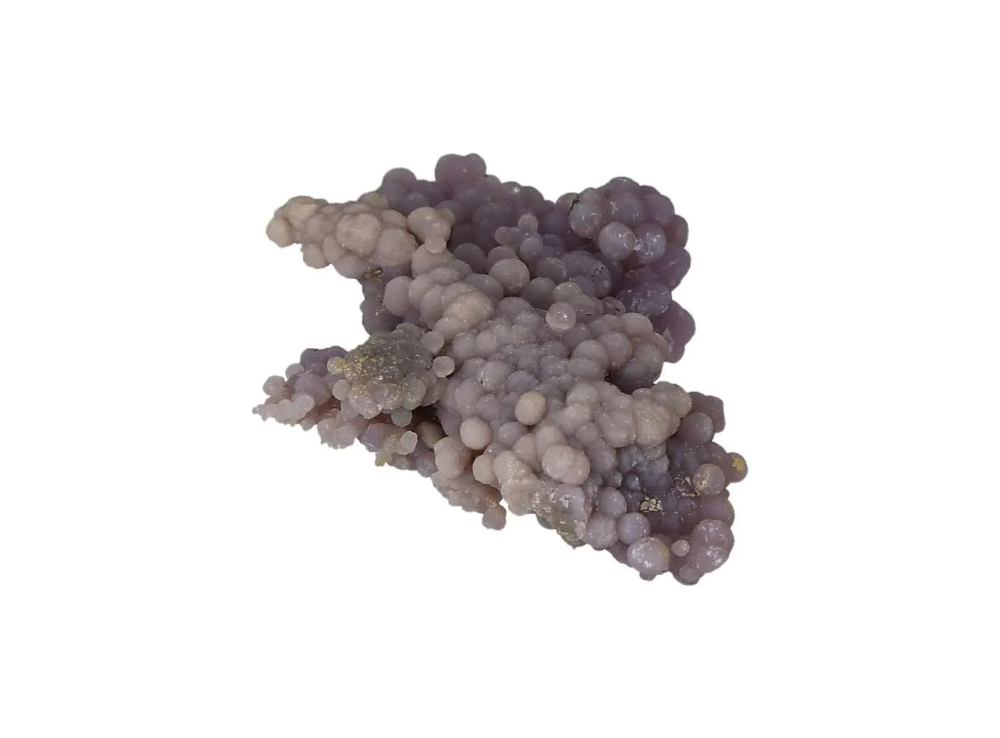 orbitvu|type:image2d