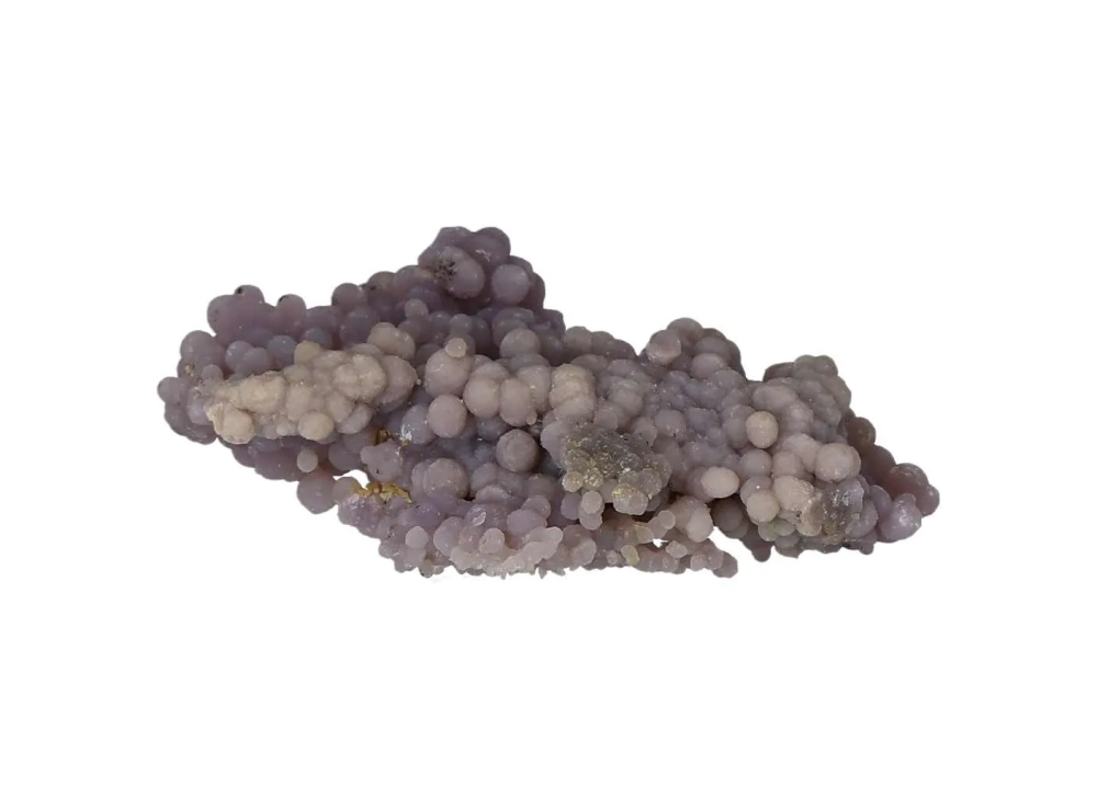 orbitvu|type:image2d