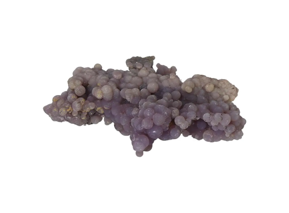 orbitvu|type:image2d