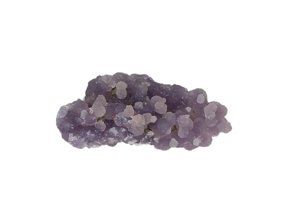 orbitvu|type:image2d