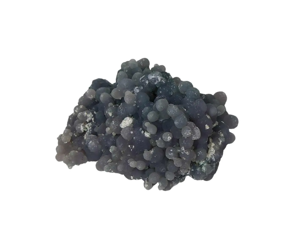 orbitvu|type:image2d