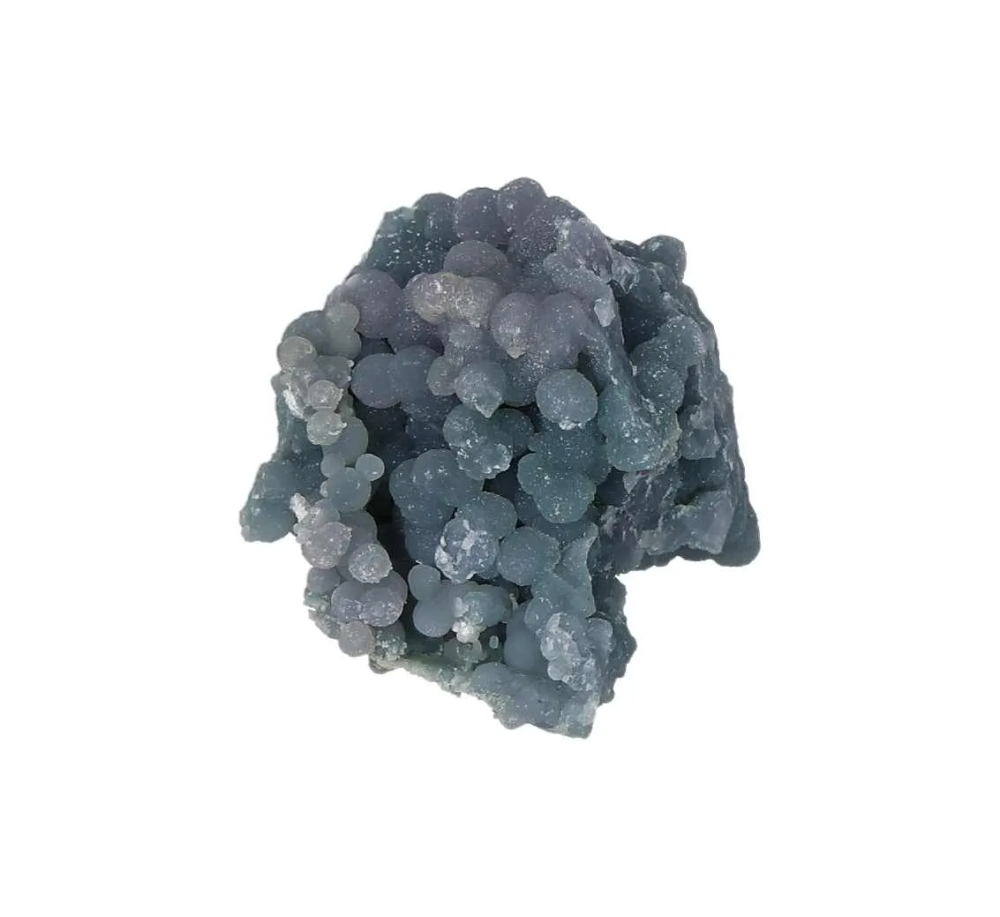 orbitvu|type:image2d