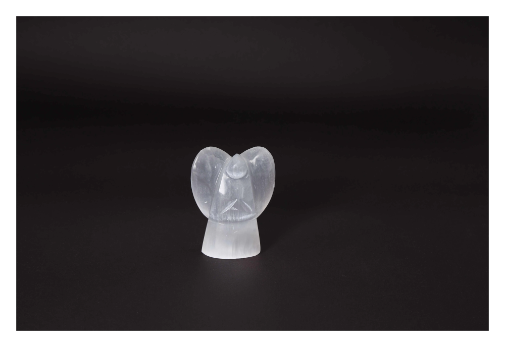 orbitvu|type:image2d