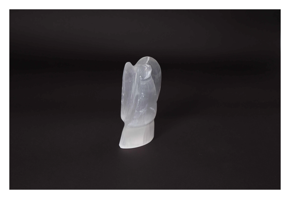 orbitvu|type:image2d