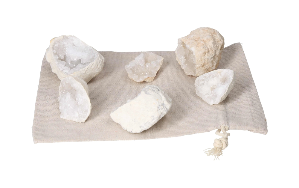 orbitvu|type:image2d