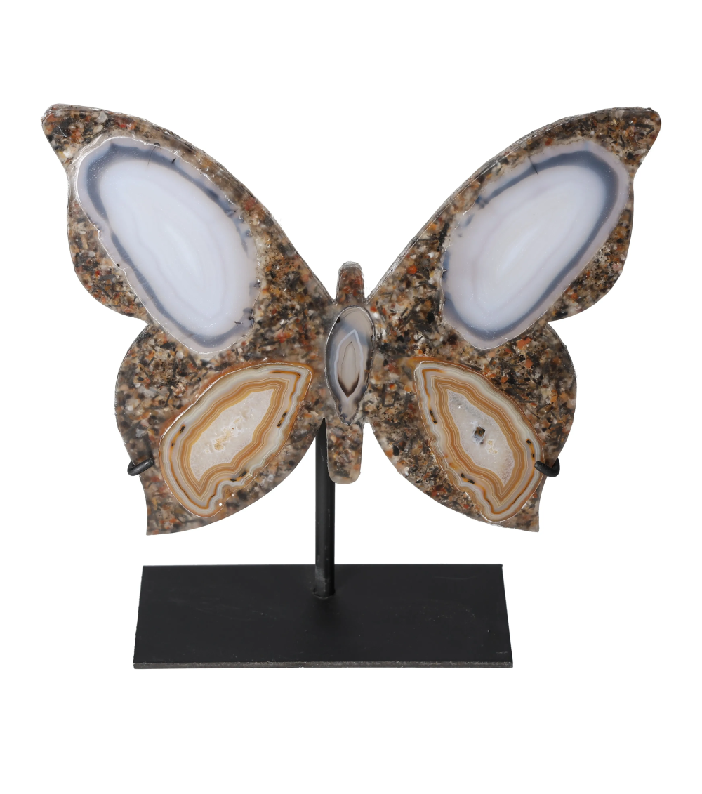 orbitvu|type:image2d