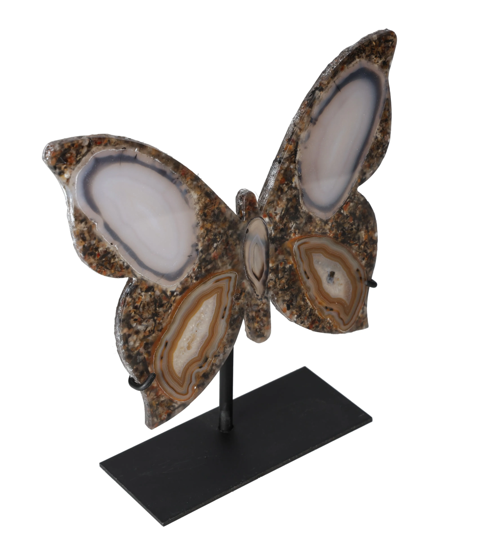 orbitvu|type:image2d