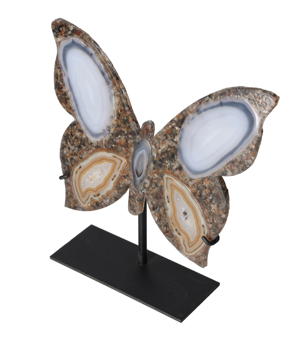 orbitvu|type:image2d