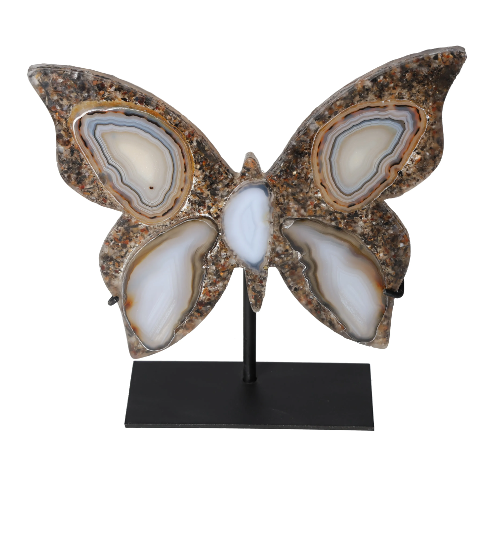 orbitvu|type:image2d