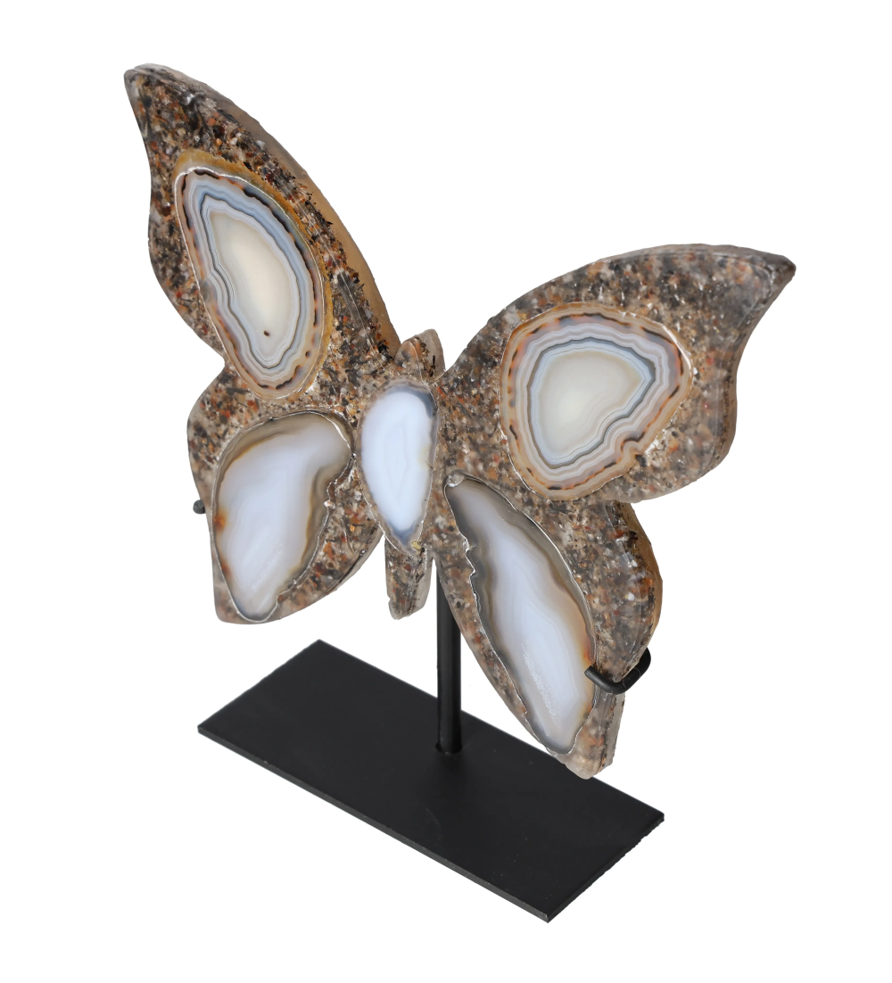 orbitvu|type:image2d