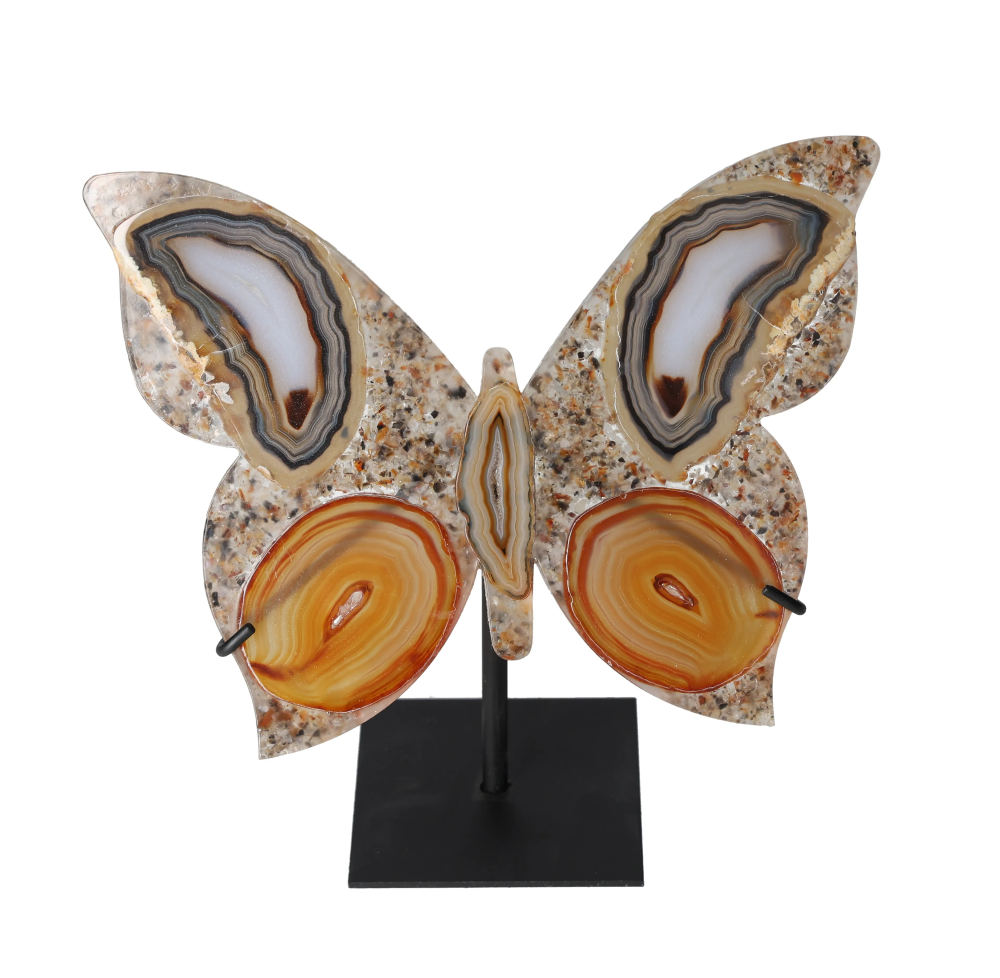 orbitvu|type:image2d